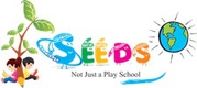 Play Group Store For Toys & Books– Seeds Education